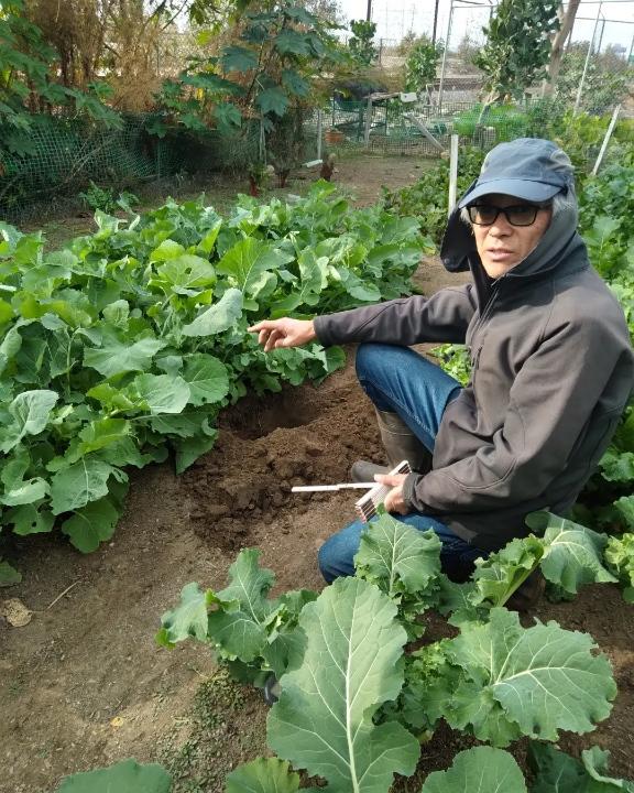 An experienced gardener pointing at the soil
